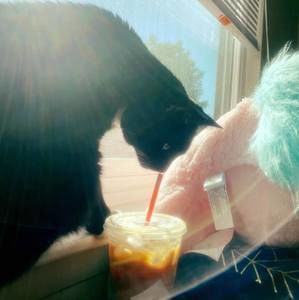 Meet your Posher, Kathryn